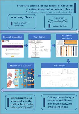 Protective effects and mechanism of curcumin in animal models of pulmonary fibrosis: a preclinical systematic review and meta-analysis